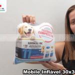 móbile inflável promocional elevencell vac em Feira de Santana - BA