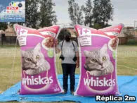infláveis promocionais em Suzano