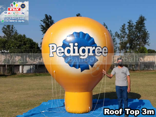 balão promocional inflável pedigree