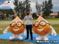 Infláveis Personalizados em Itaquaquecetuba