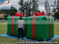 Infláveis Natalinos Gigantes