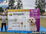 inflável promocional em Santo André