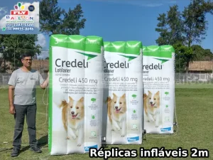 Infláveis Personalizados em São Paulo