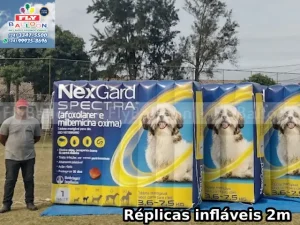 Inflável Personalizado em São Paulo