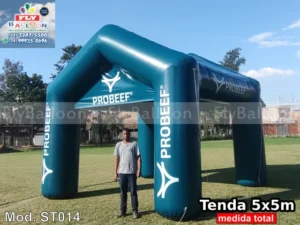tenda inflável promocional probeef